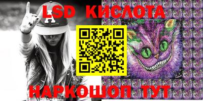 шишки Камышлов