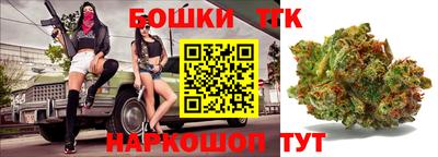 шишки Камышлов