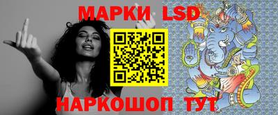 шишки Камышлов
