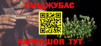 шишки Камышлов