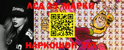 шишки Камышлов