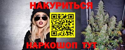 шишки Камышлов