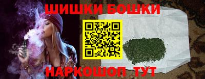 шишки Камышлов