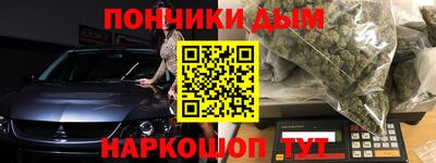шишки Камышлов