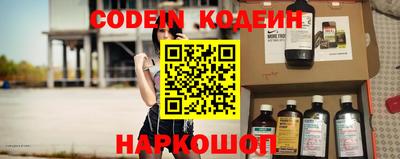 шишки Камышлов