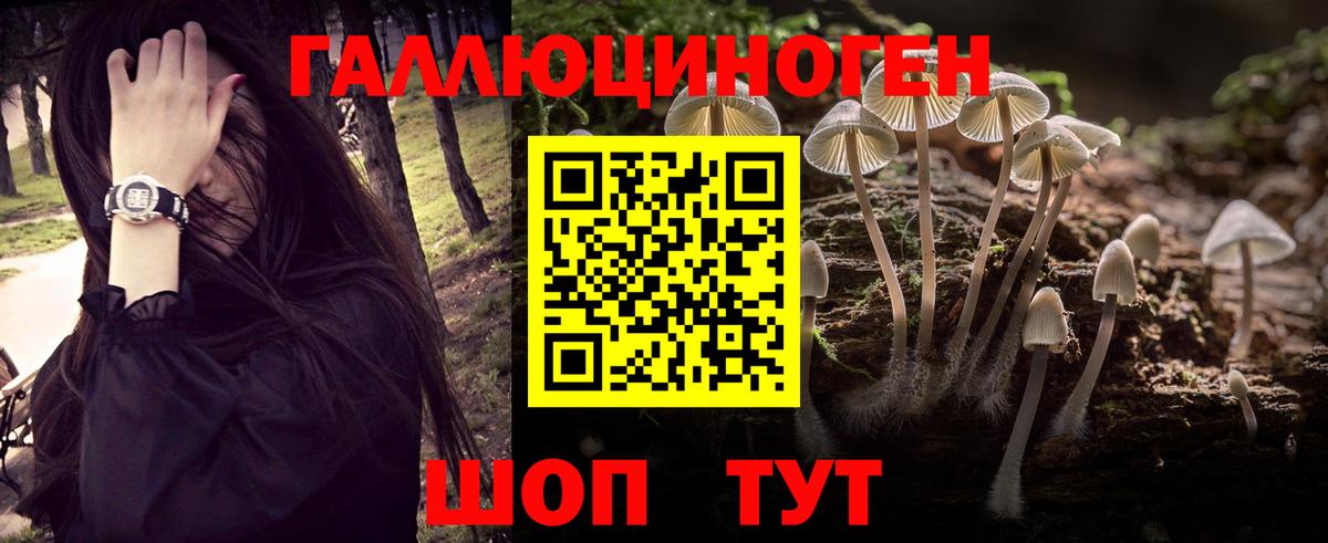 Псилоцибиновые грибы мицелий Усинск